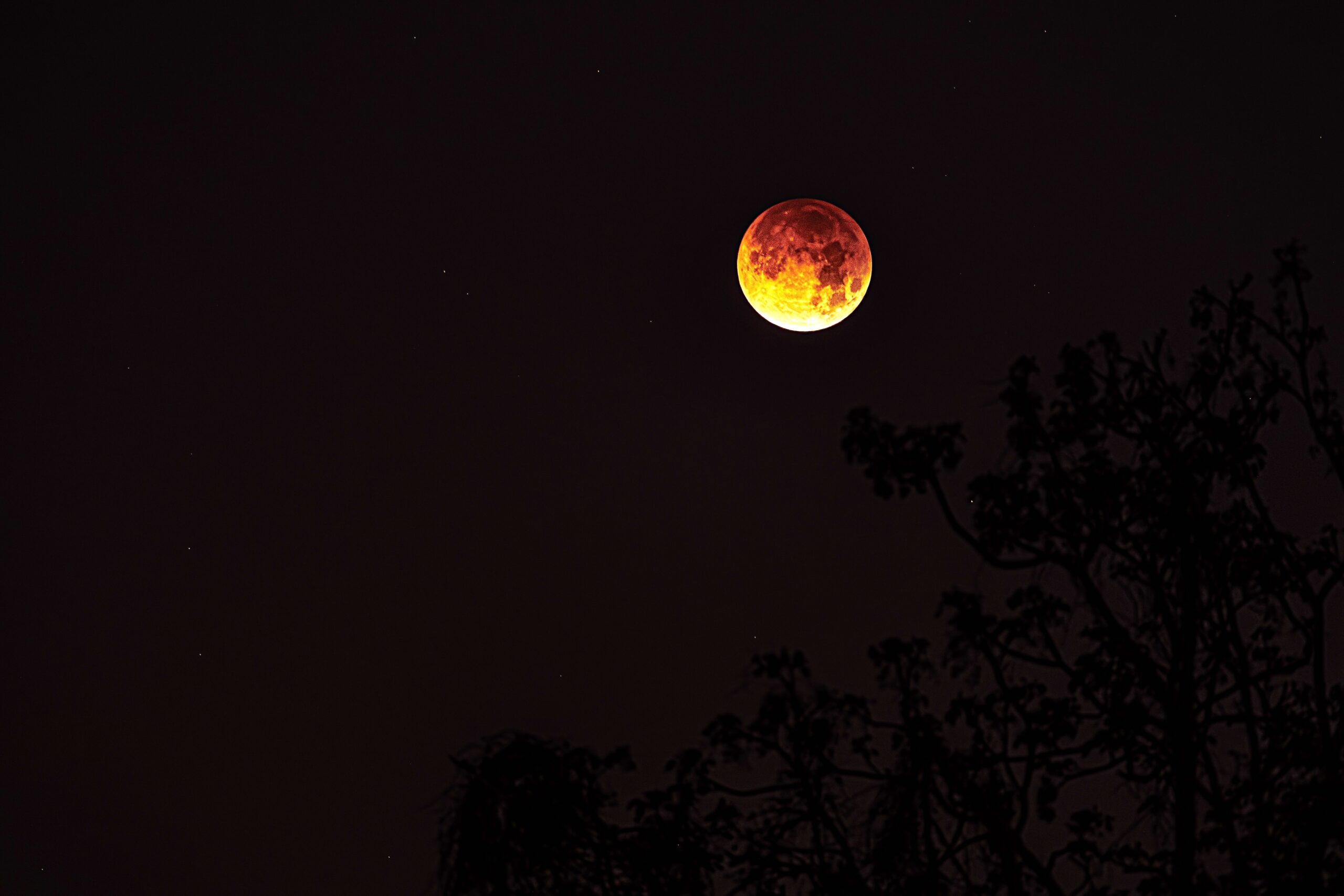 Blood Moon